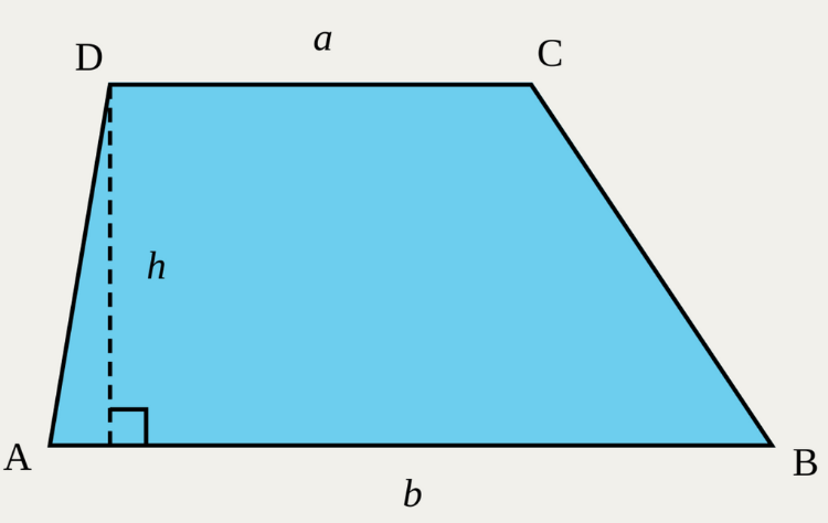 trapezoide